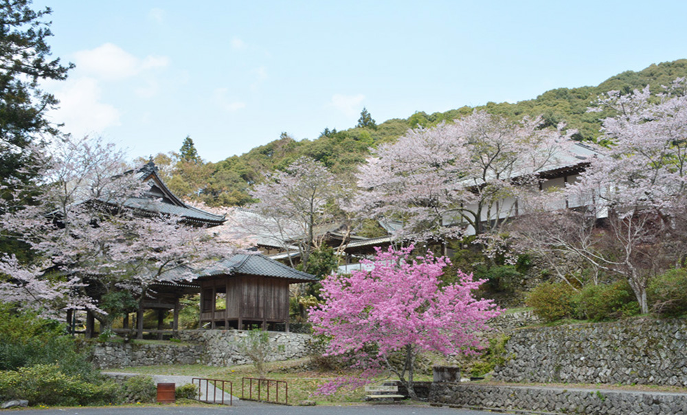 禹門山竜沢寺